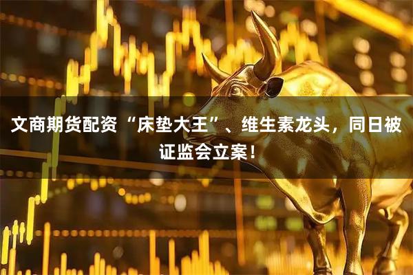 文商期货配资 “床垫大王”、维生素龙头，同日被证监会立案！